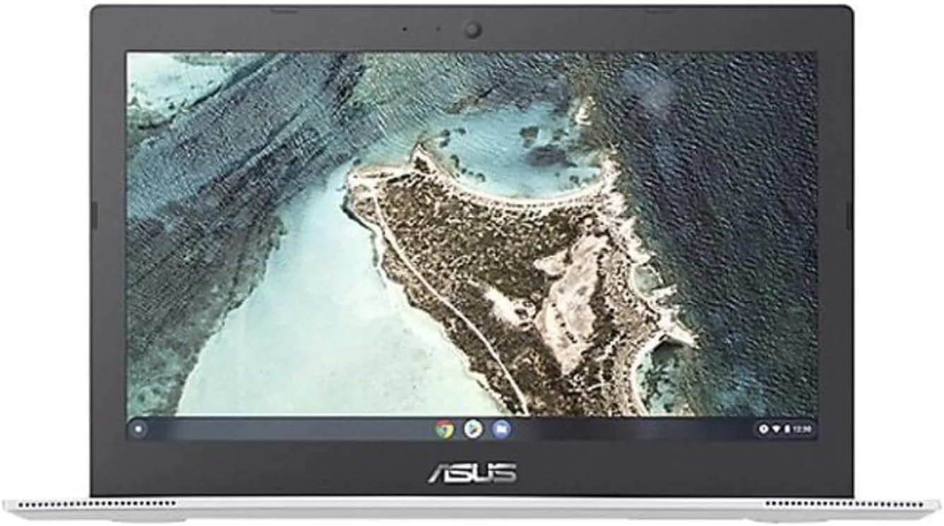 ASUS Chromebook CX1 Laptop, 15.6' FHD (1920 x 1080) LED Display, Intel Celeron N4500 Processor, 8GB RAM, 64GB eMMC, Chrome OS, Silver, TWE 64GB Micro SD Card