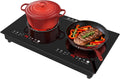 2 Burner Electric Cooktop 110V, 4000W Electric Ceramic Glass Stove Infrared Hot Plate for Cooking, 24 inch Portable Countertop & Built-in Burner, Child Lock, Timer, Touch Control, for Home Dorm Office