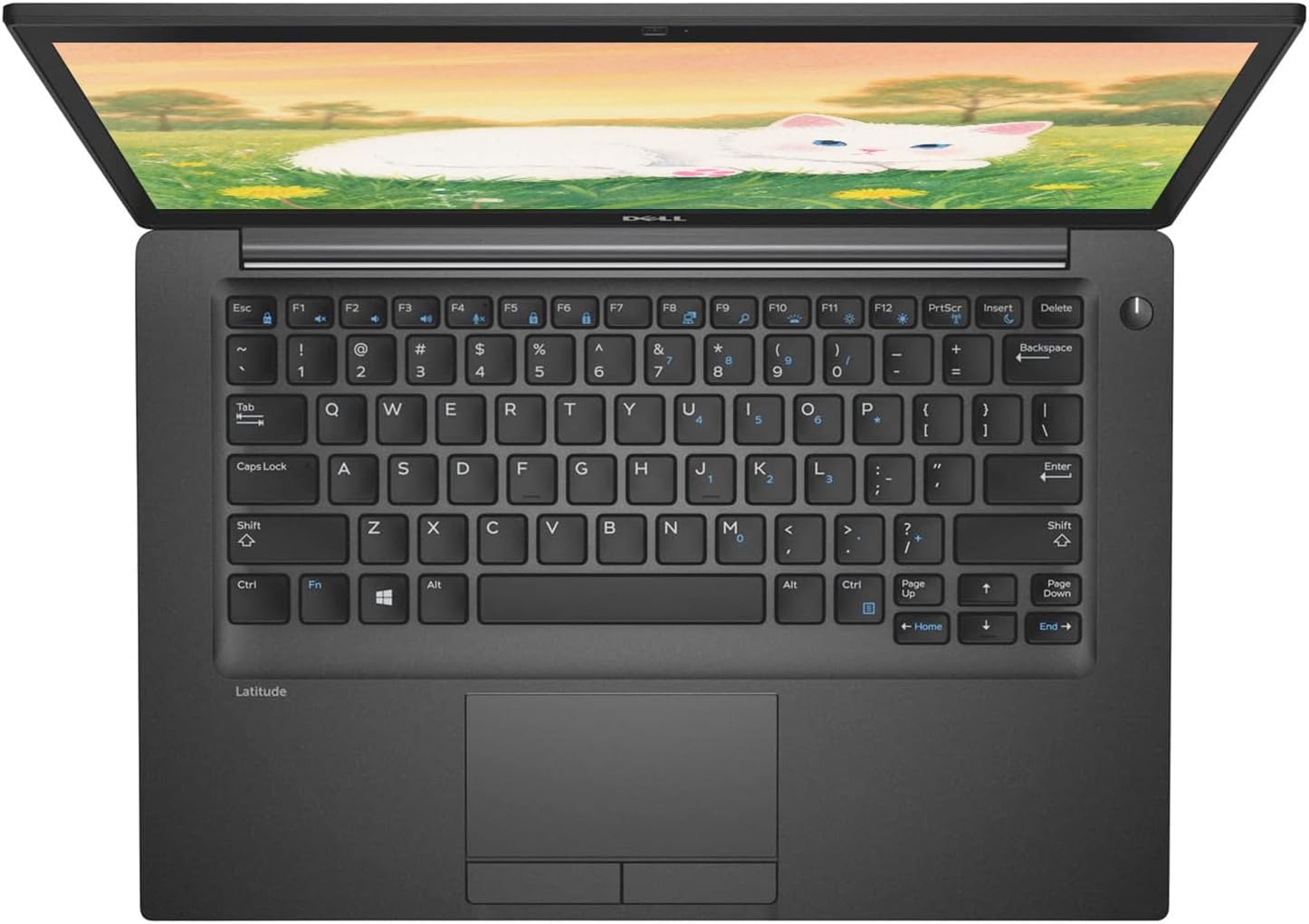 Dell Latitude 7280 Business Laptop, 12.5' HD(1366x768) Display, Core i5-6300, 2.4GHz-3.0GHz, 8GB DDR4 RAM, 256GB SSD, Webcam, Windows 11 Pro (Renewed)