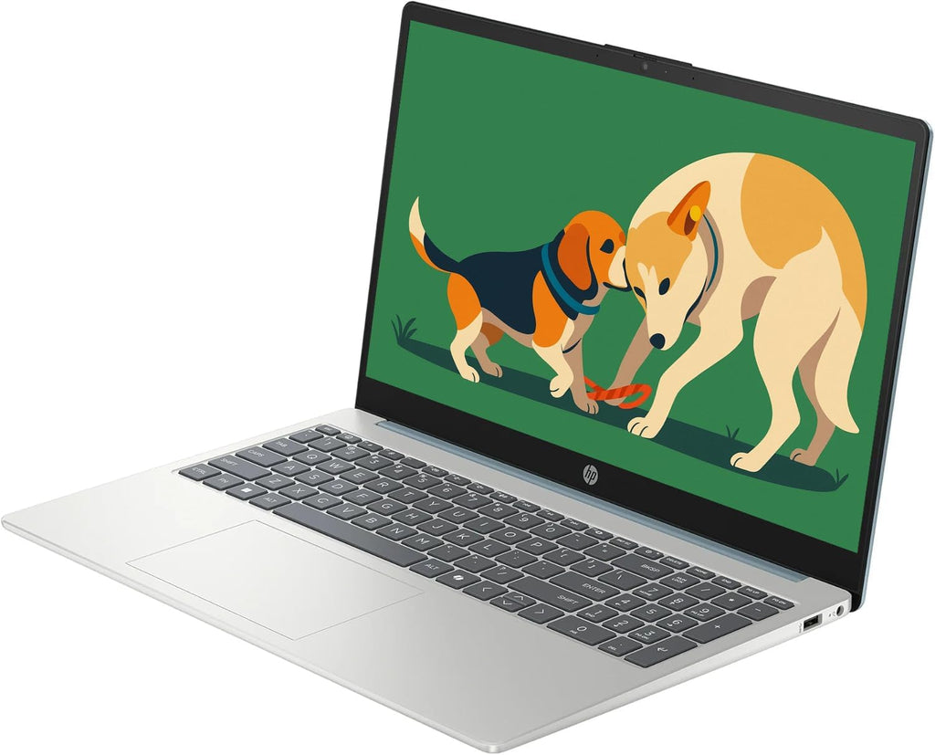 HP 15.6' Touchscreen FHD IPS Laptop, Intel i3-N305 Processor Up to 3.78GHz, 8GB DDR4 RAM, 256GB SSD, HDMI, Super-Fast 6th Gen WiFi, Windows 11, Renewed