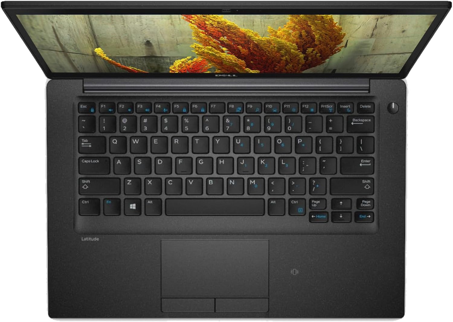 Dell Latitude 7480 Business Laptop Computer Win11 pro, 14in Notebook 7480, Dual Core i5-7th 2.6GHz to 3.5GHz, 16GB RAM, 256GB SSD (Renewed)