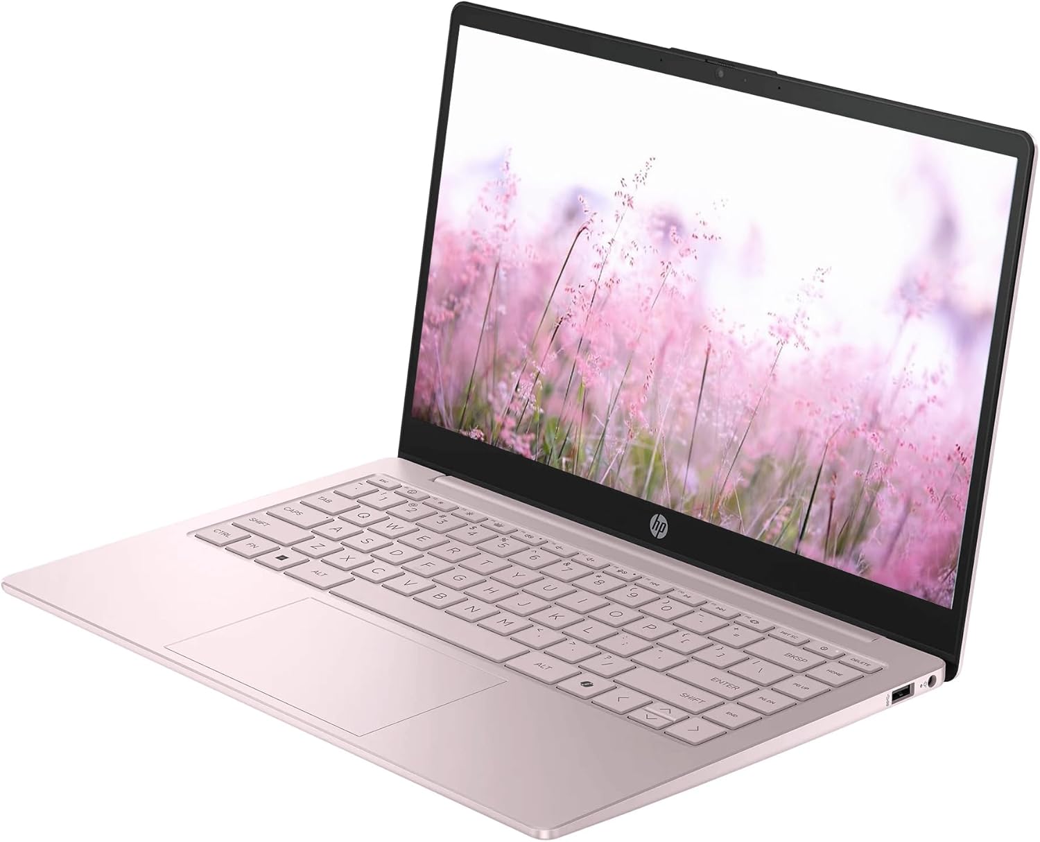 HP Portable 13.8' HD IPS Laptop, Intel Celeron N Processor Up to 2.78GHz, 4GB DDR4, 128GB SSD, HDMI, Webcam, Bluetooth, Windows 11, Pastel Pink(Renewed)