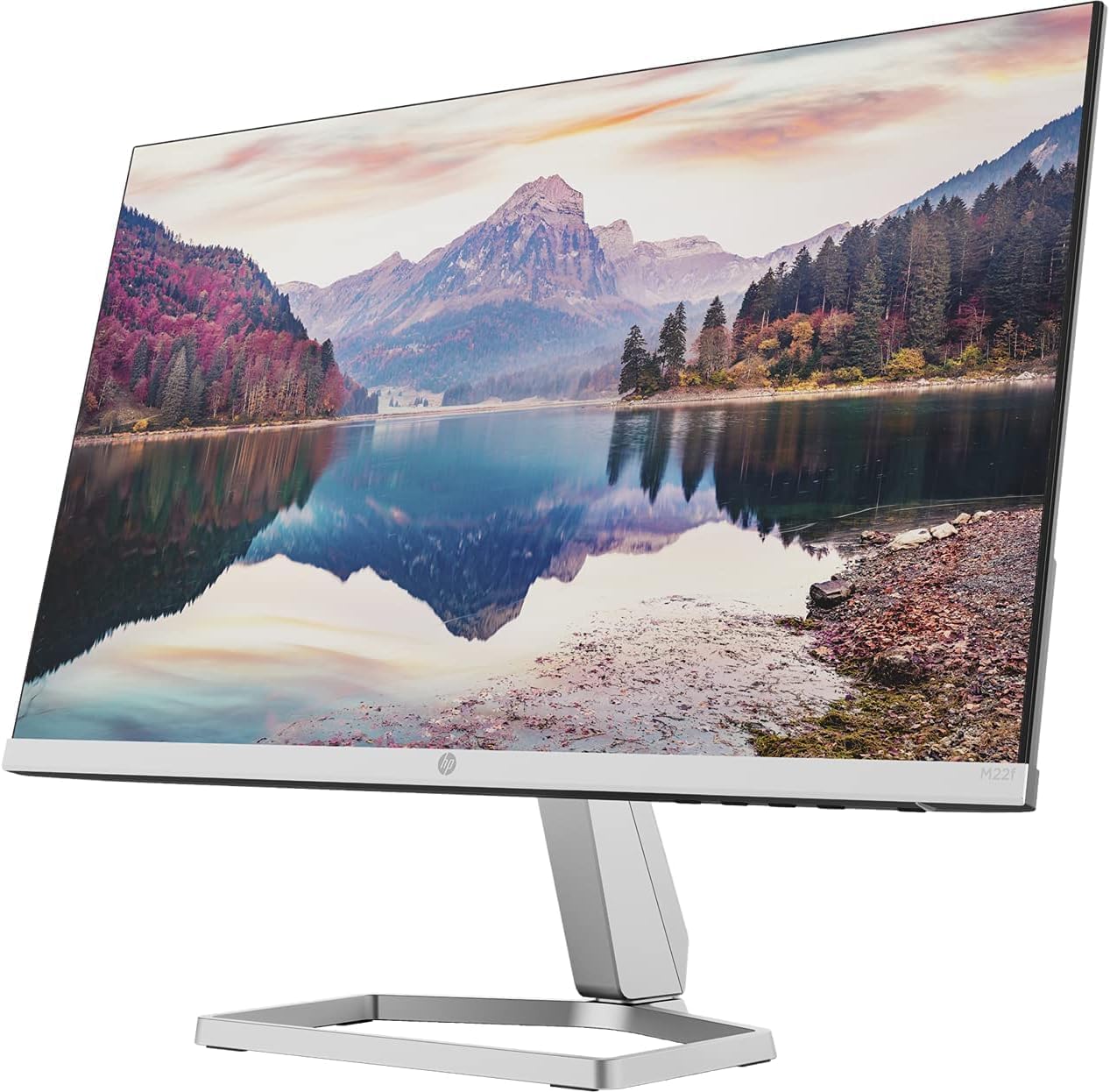 HP 22 IPS 1080P FreeSync Monitor Bundle with Docztorm Dock, 22 inch IPS (1920 x 1080) Display, VGA, HDMI, Adjustable Tilt, Ideal for Home & Business, Black & Silver 2 Pack