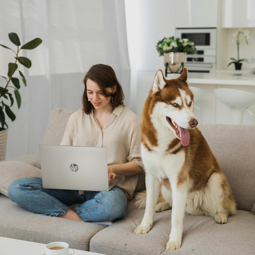 HP New 15.6 inch Laptop Computer, 2025/2026 Edition, Intel High-Performance 4 cores N100 CPU, 16GB RAM, 1TB SSD, Long Battery Life, Ultra-Quiet Design, Windows 11 Pro with Microsoft Office
