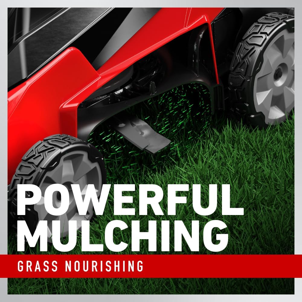 Toro 60V MAX* 21 in. Stripe® Push Lawn Mower - Battery/Charger Not Included
