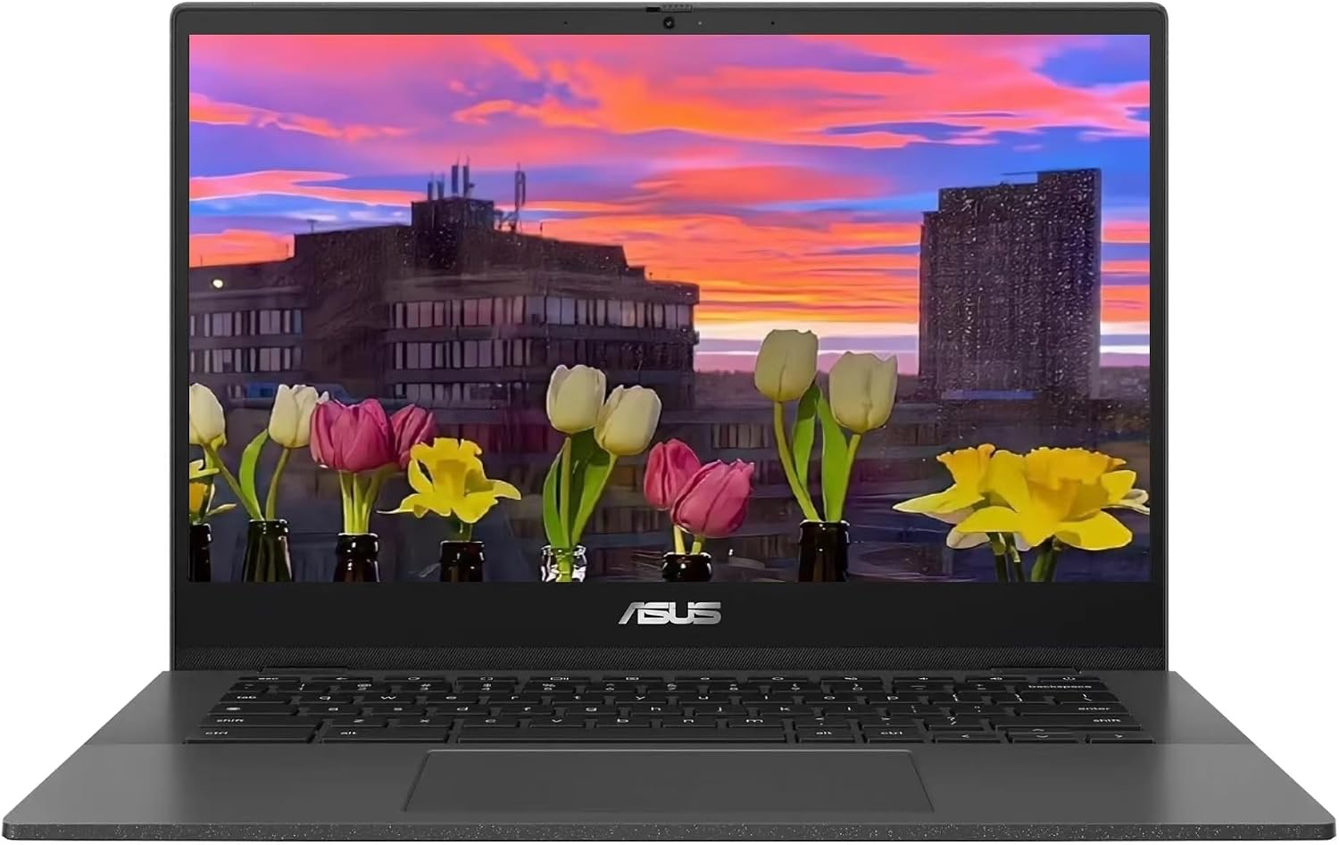 ASUS Chromebook CM1402 Laptop, 14' FHD (1920 x 1080) LED Display, MediaTek Kompanio 520, 8-Core, 4GB RAM, 64GB eMMC, Chrome OS, Gravity Gray, TWE 64GB Micro SD Card