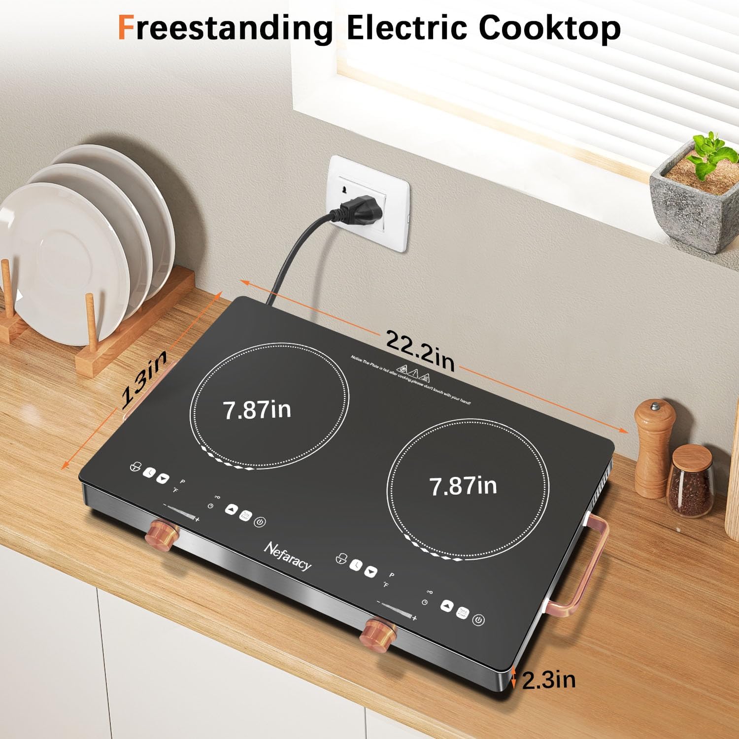 2 Burner Electric Cooktop 24 inch, 110-120V Plug in 2000W Ceramic Cooktop, Portable Electrics Stove with Handles,Touch & Knob Control, Safety Lock, 9 Heating Levels, 240Mins Timer, Overheat Protection
