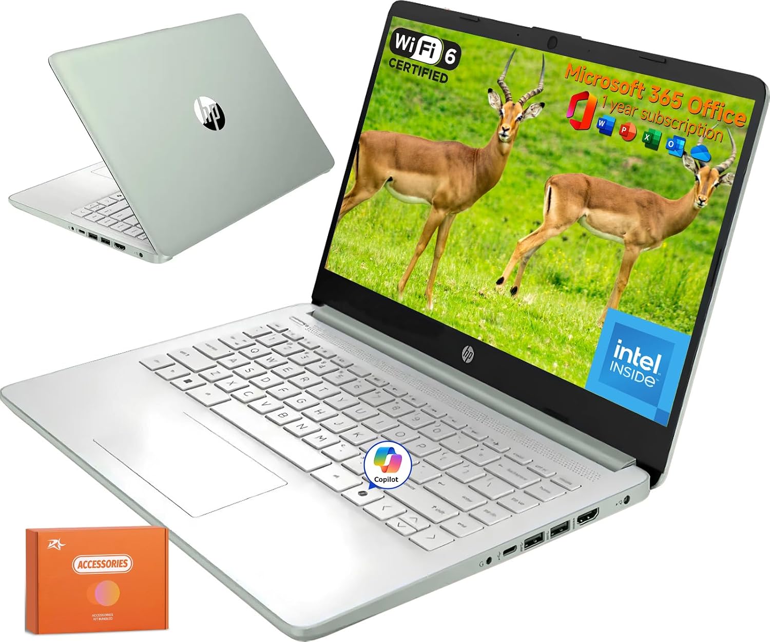 HP 2025 New 14 Inch Laptop for Student Business, Intel N150 CPU, 16GB RAM, 384 GB Storage(128GB UFS+256GB MSD), Wi-Fi 6, Copilot AI, 1 Year Microsoft 365, Windows 11 Pro, Willow Green,W/Mouse