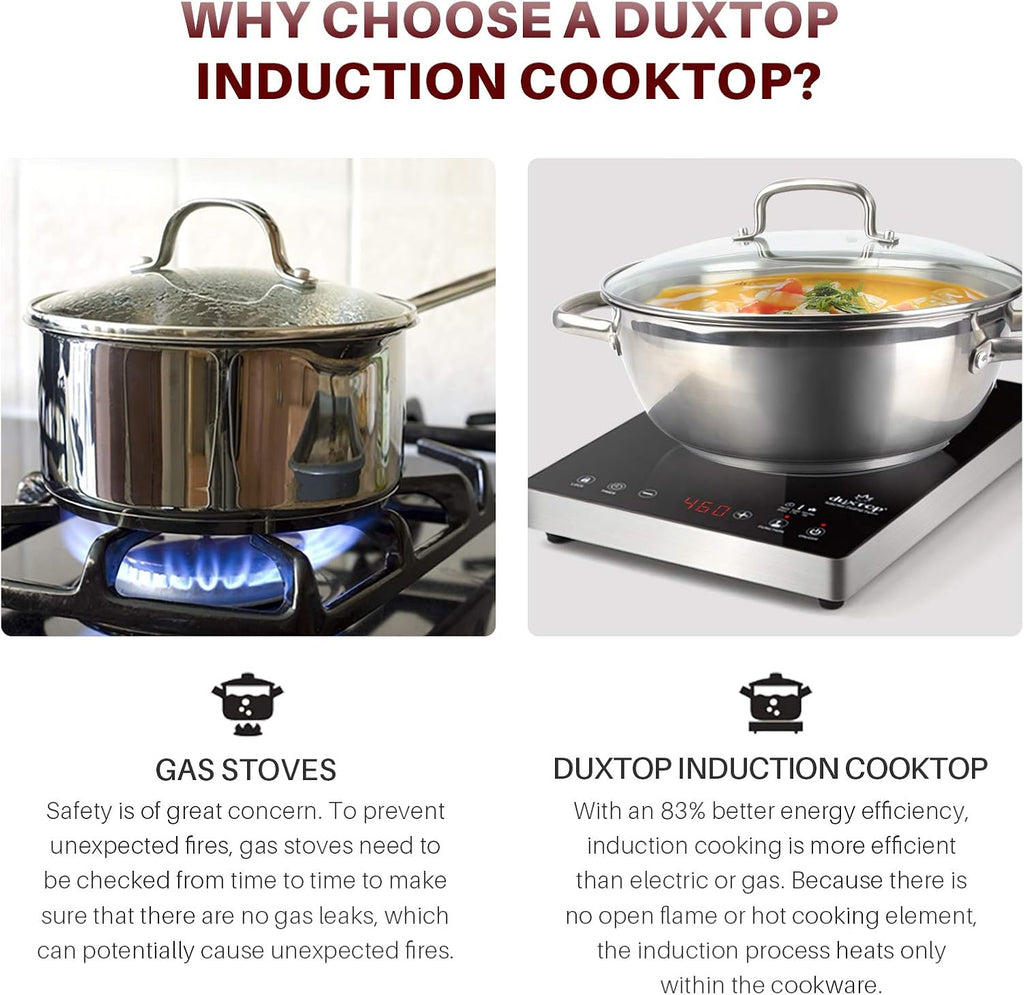 Duxtop Portable Induction Cooktop, High End Full Glass Induction Burner with Sensor Touch, 1800W Countertop Burner with Stainless Steel Housing, E200A, Black