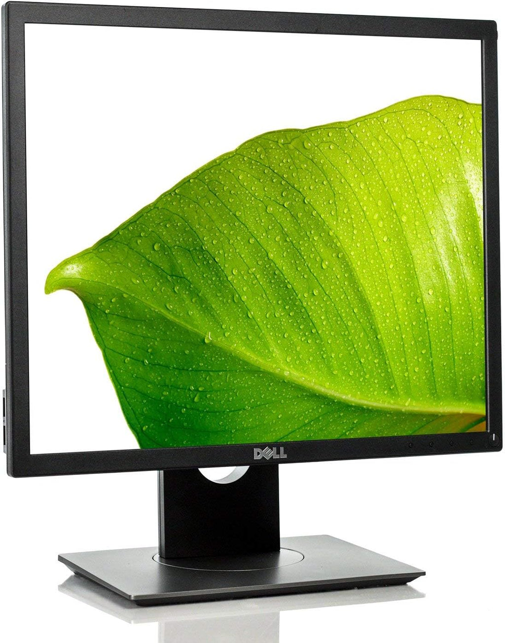 DELL 19in P1917S IPS BACKLIT LED LCD 1280X1024 5:4 SCREEN DESKTOP DISPLAY MONITOR (Renewed)
