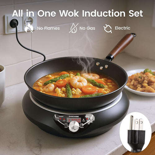 1700W Induction Cooktop with 13.4' Carbon Steel Wok Pan,Lid,Rack,1.97' Deep Curved Concave Electric Stove Burner 16 Watts/temp Precise Ctrl 200~1700W 176°F to 446°F,18H Timer ETL-Listed