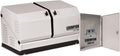 Champion 12.5-kW Home Standby Generator with 100-Amp Outdoor-Rated Automatic Transfer Switch