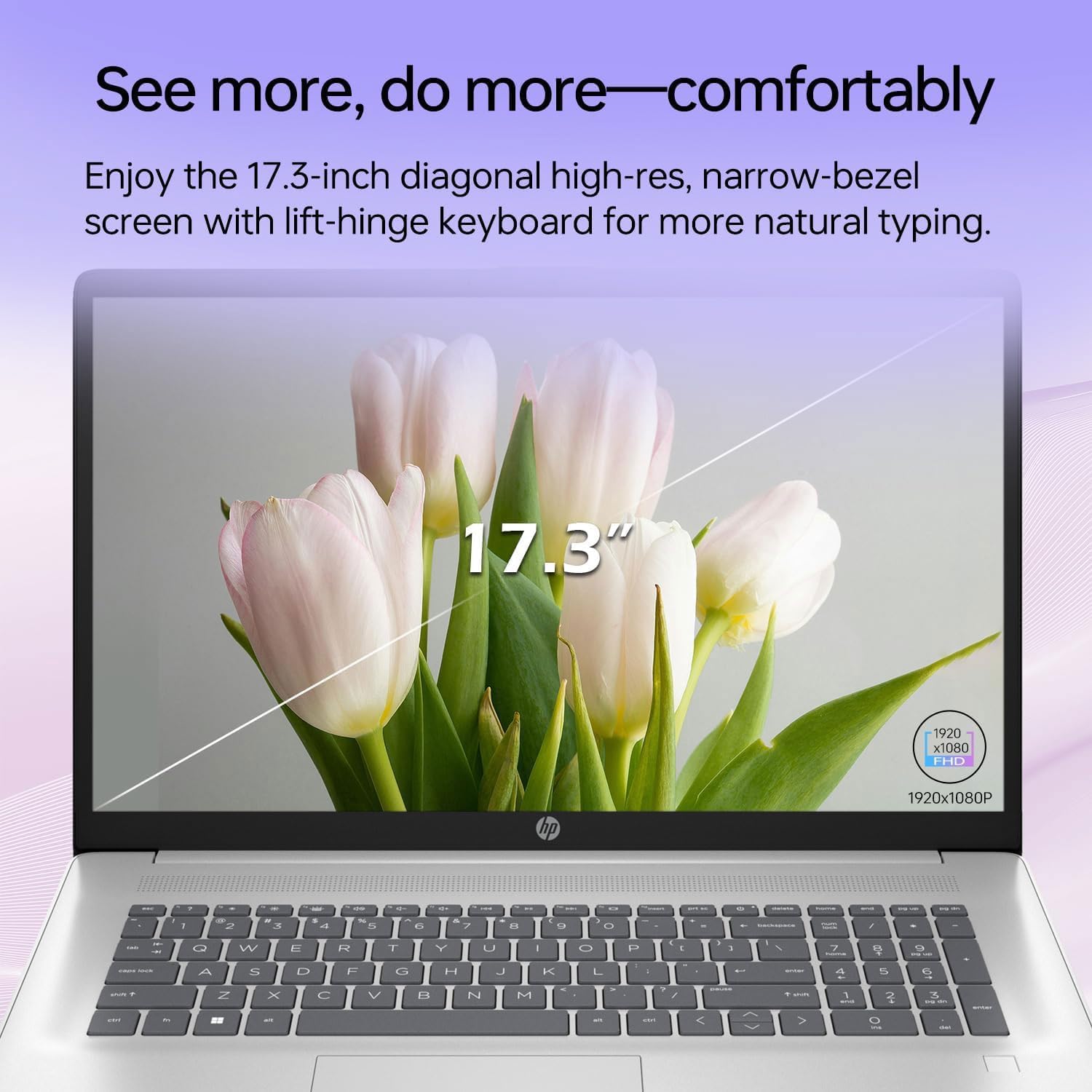 HP Essential Business Laptop, 17.3' FHD Display, Intel Core i5-1334U, 32GB RAM, 1TB PCIe M.2 SSD, Wi-Fi 6, Webcam, Backlit Keyboard, Windows 11 Pro, Silver
