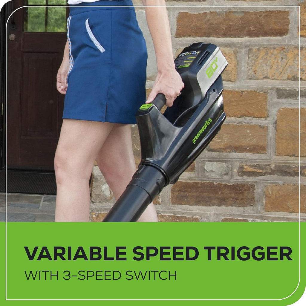 Greenworks 80V 21' Brushless (Push) Cordless Electric Lawn Mower + (500 CFM) Axial Leaf Blower (75+ Compatible Tools), (2) 2.0Ah Batteries and 30 Minute Rapid Charger