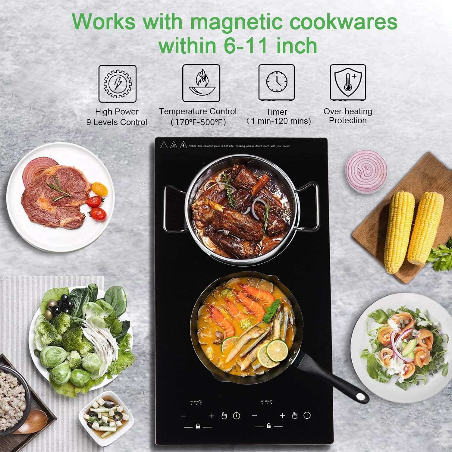 12' Induction Cooktop, Double Induction Cooktop 2 Burner 110v-120v Electric Stove Top, Countertop and Built-in, 9 Power Levels, Child Lock, 120 Mins Timer