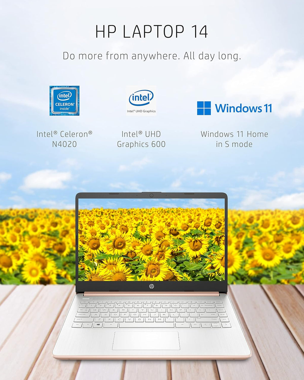 HP 14-dq0030nr 14 Laptop, Intel Celeron N4020, 4 GB RAM, 64 GB Storage, 14-inch Micro-edge HD Display, Windows 11 Home, Thin & Portable, 4K Graphics, One Year of Microsoft 365 (2021, Pale Rose Gold)