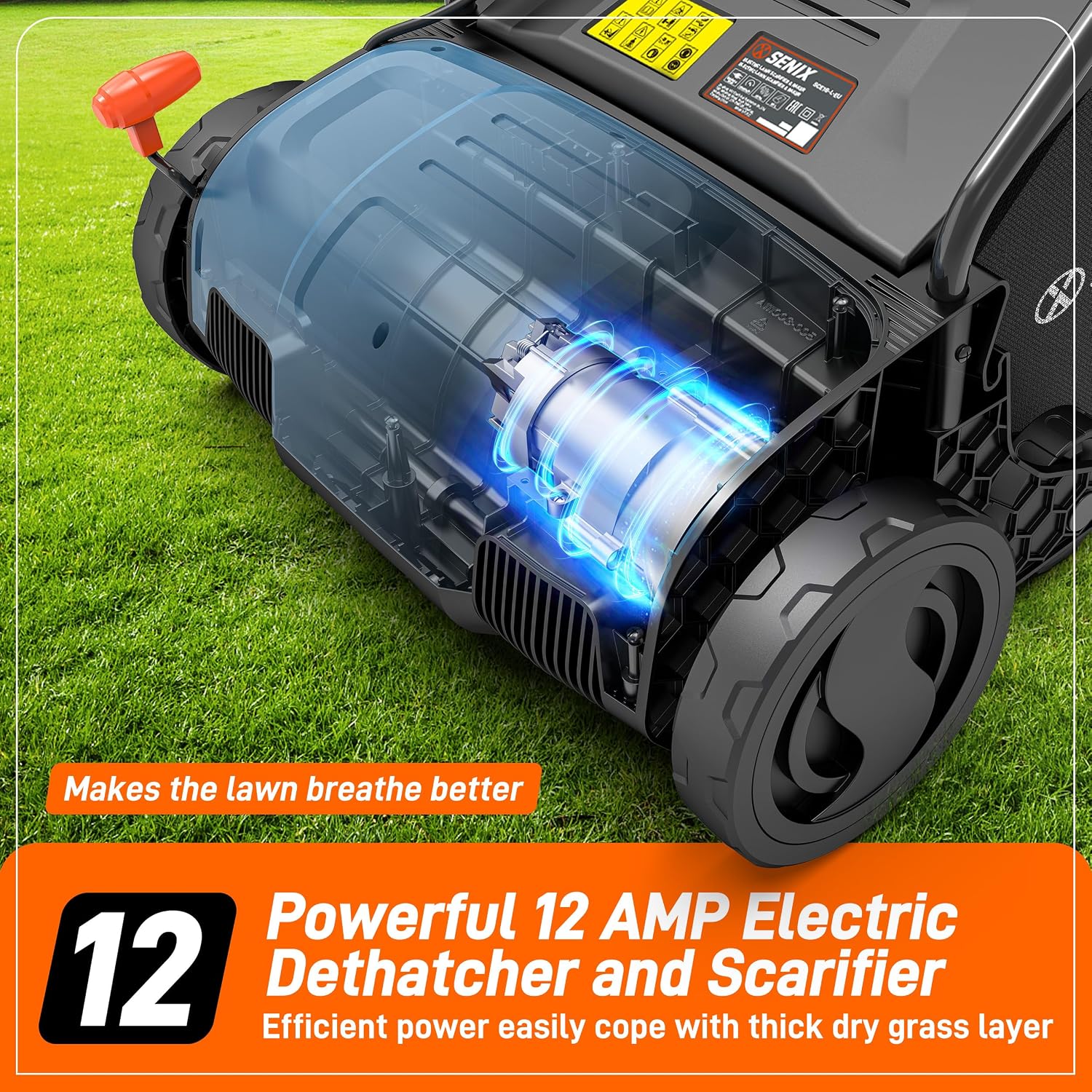 SENIX 12 Amp 13-Inch Corded Electric Dethatcher and Scarifier with Collection Bag,Lawn Care Equipment for Removing Thatch and Improving Yard Growth,Garden Tool Gifts(SCE12-L1)